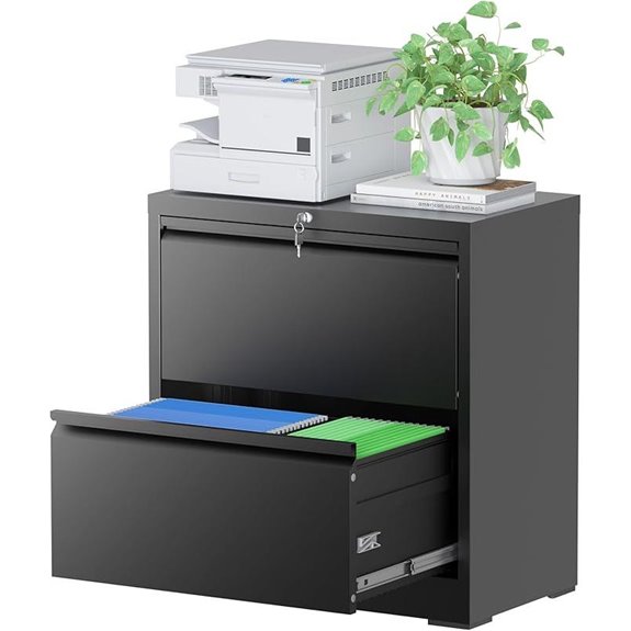 Heavy Duty 2-Drawer Locking Metal File Cabinet