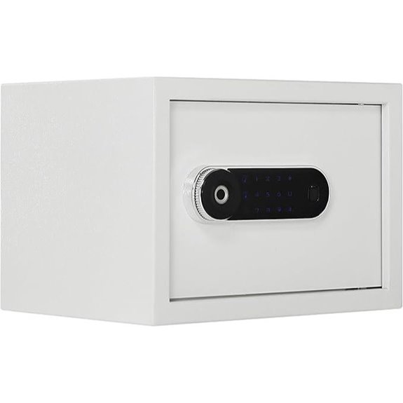 Luxury Jewelry Safe with Fingerprint & Keypad Lock