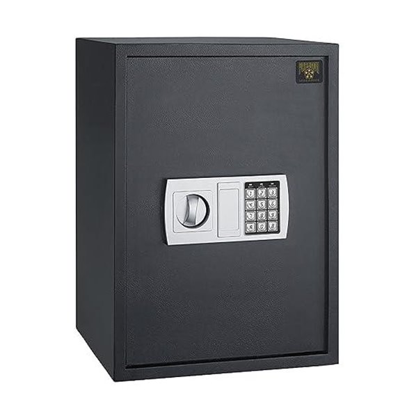 Personal Digital Safe Box with Override Keys
