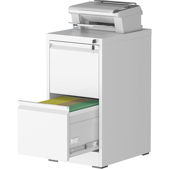 2-Drawer Locking Steel File Cabinet for Home Office