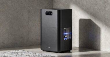 top 15 70 pint dehumidifiers