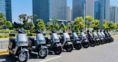 top adult electric scooters