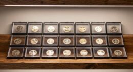 top coin slab storage cases
