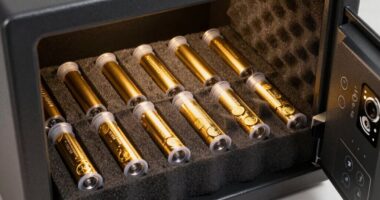 top gold coin storage safes