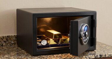 top gold silver storage options