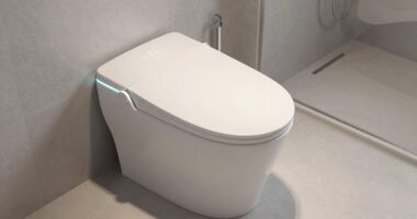 top heated bidet seats