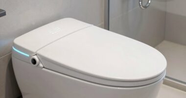 top self cleaning bidet seats
