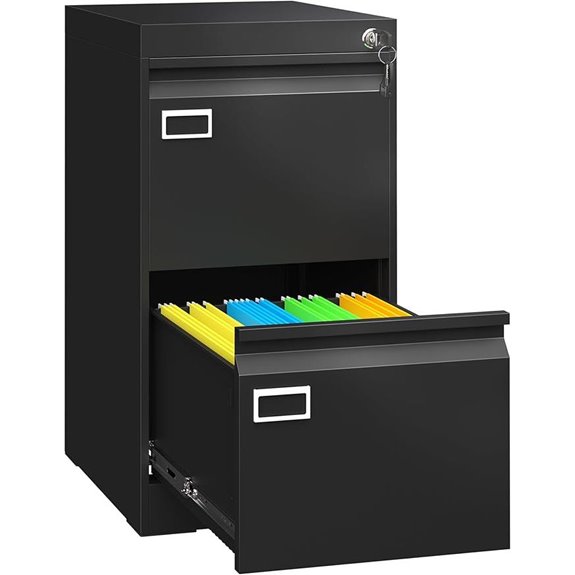 Locking Metal File Cabinet with 2 Drawers
