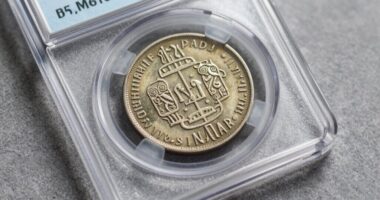 preserving rare coin value