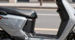 battery lifespan impacts ownership