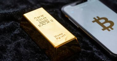 bitcoin complements gold s store