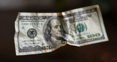 impact of dollar decline
