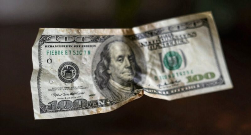 impact of dollar decline