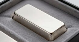 protective silver bar storage