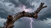stable adaptable investment strategy