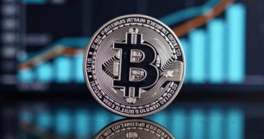 token supply outweighs branding