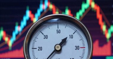 venture capital pressure crush