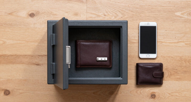 10 Best Burglary and Fire Safe for Hardware Wallets and Seed Backups in 2026