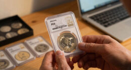 10 Best Coin Slab Storage Case for PCGS and NGC in 2026