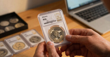 10 Best Coin Slab Storage Case for PCGS and NGC in 2026