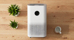 10 Best High-CADR Air Purifiers for Open Floor Plans in 2026