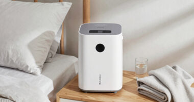 10 Best Home Oxygen Concentrator for Overnight Use in 2026