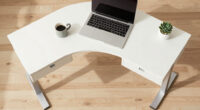 10 Best L-Shaped Standing Desk With Drawers in 2026