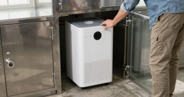 13 Best Dehumidifier For Safe And Bullion Storage In 2026