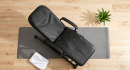 13 Best Premium Inversion Table for Home Therapy in 2026