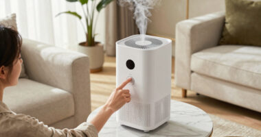 14 Best Luxury Humidifier For Large Rooms In 2026