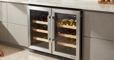 15 Best Best Wine Fridge Dual Zone Freestanding in 2026