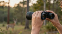 8 Best Binoculars for Wildlife Trips Premium in 2026