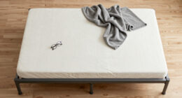 9 Best Adjustable Bed Frame for Heavy Adults in 2026