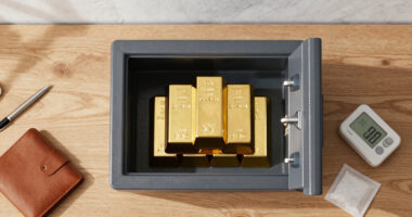 9 Best Dehumidified Safe for Bullion Storage in 2026