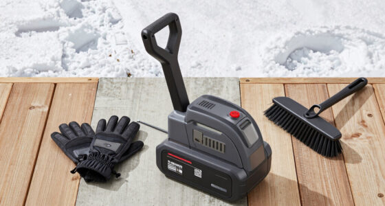 9 Best Snow Blower Battery Powered High Output in 2026