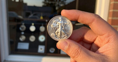 15 Best Silver American Eagle Coins in 2026