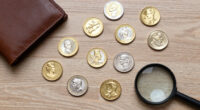 9 Best Precious Metals Investment Coins in 2026